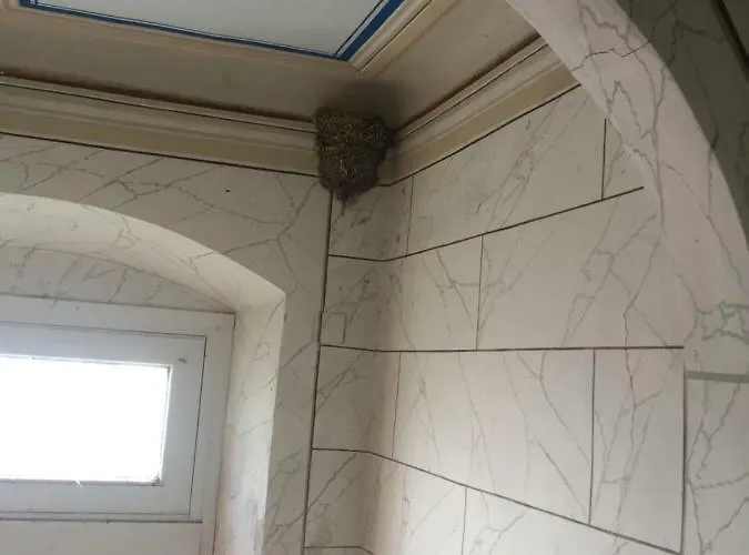 Eugenia Nocleg ze śniadaniem Livorno