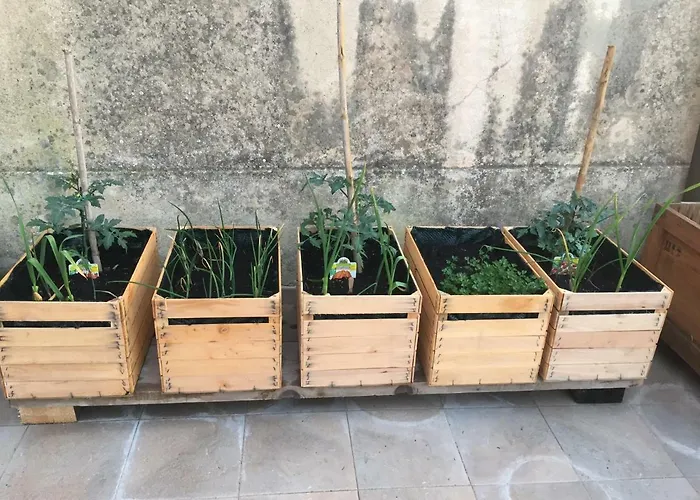 Nocleg ze śniadaniem Eugenia 3*